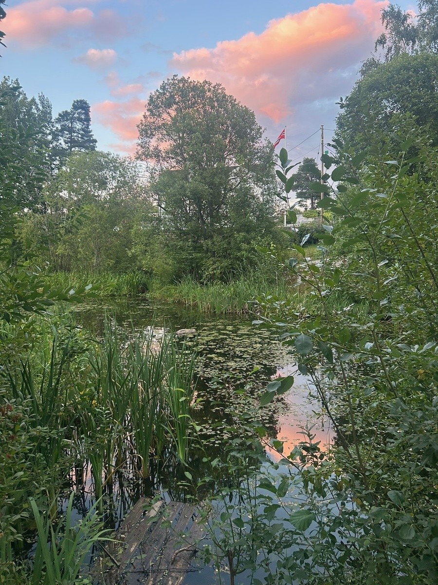 Nærområdet, her vist ved Andersen dammen like bak Nordstrand skole Galleribilde