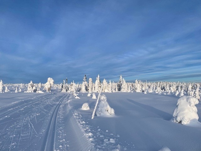 Det er milevis med skiløyper i området på vinterstid (selgers private bilde). Galleribilde