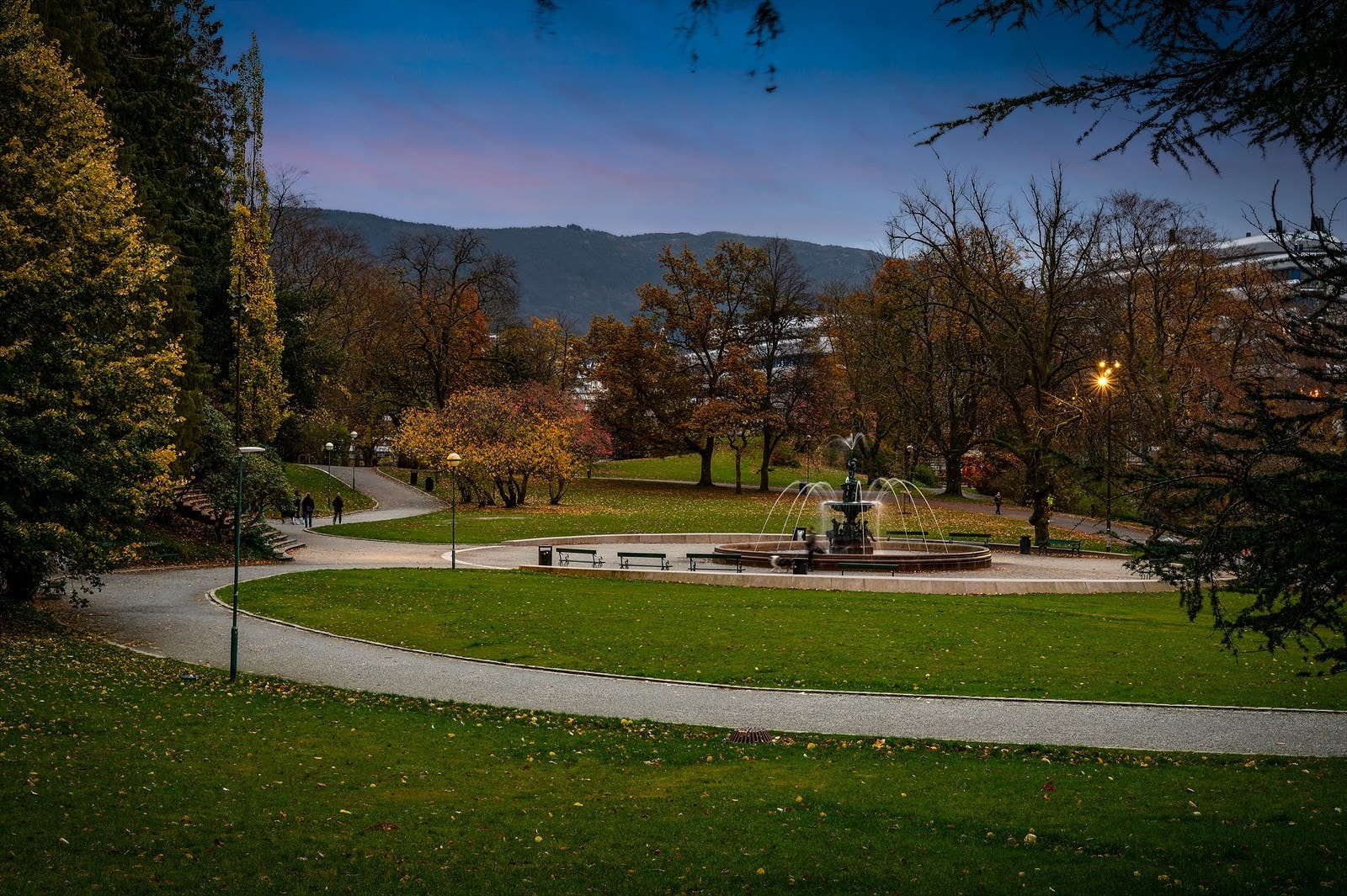 Fra boligen er det kort vei til Nygårdsparken, et populært samlingspunkt på fine dager. Galleribilde