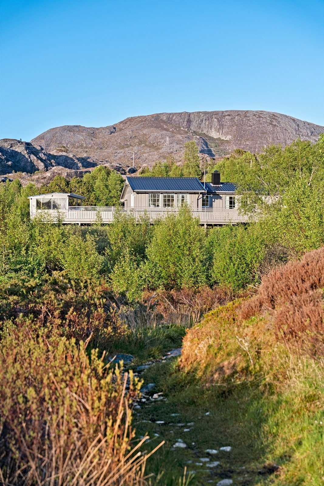 Eldsfjellet som majestetisk bakteppe. Galleribilde