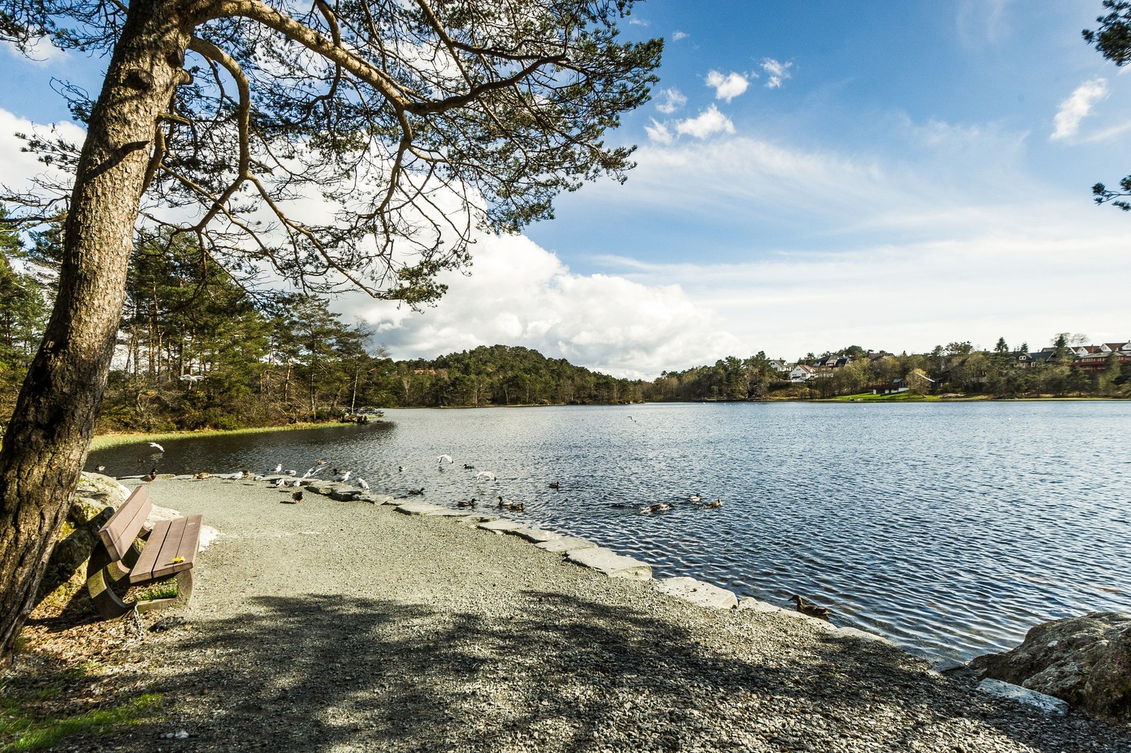 Området byr på gode tur- og rekreasjonsmuligheter, med blant annet turløyper rundt Skranevannet og Storrinden i nærheten. Galleribilde
