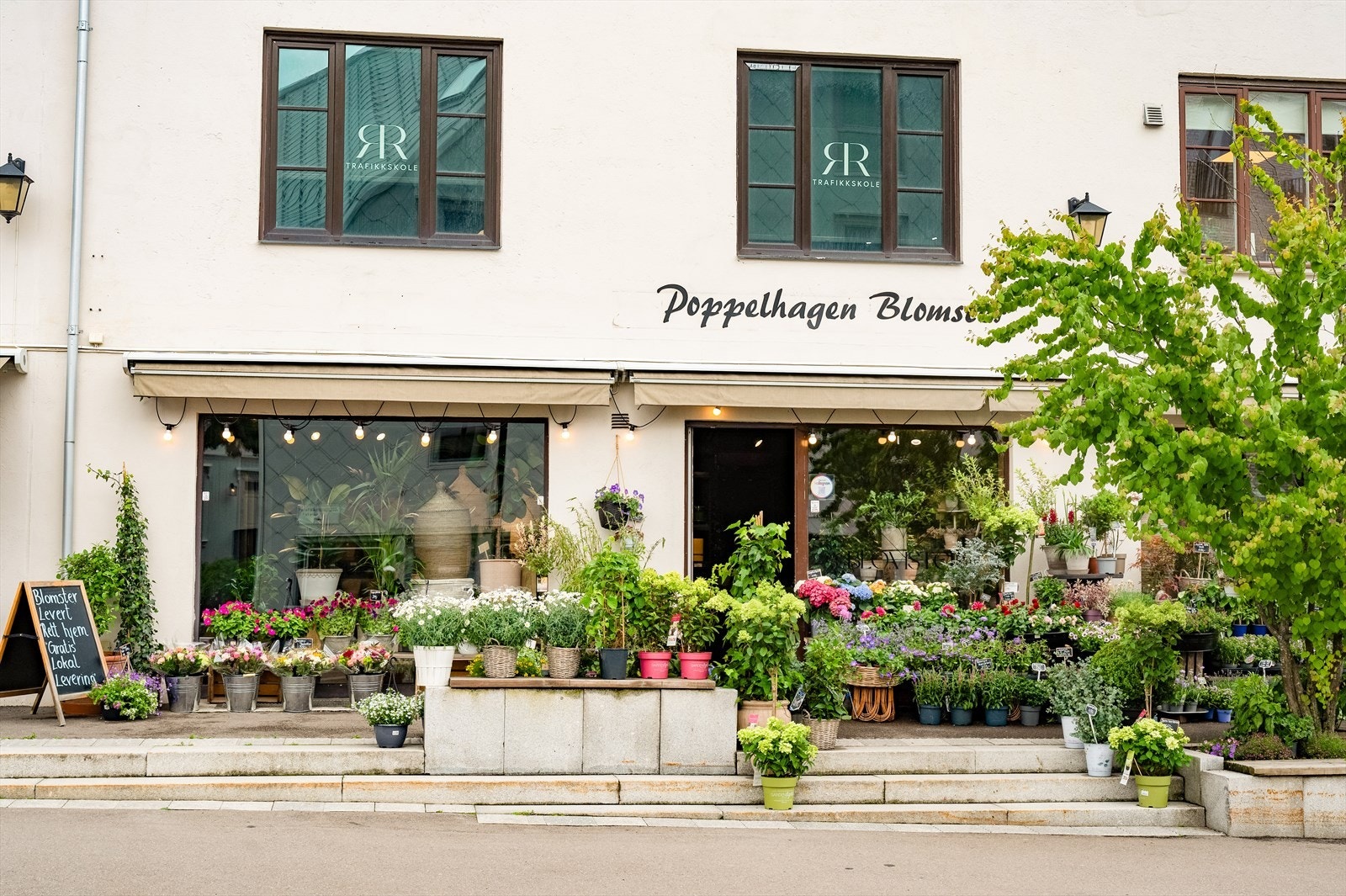 Poppelhagen blomster Galleribilde