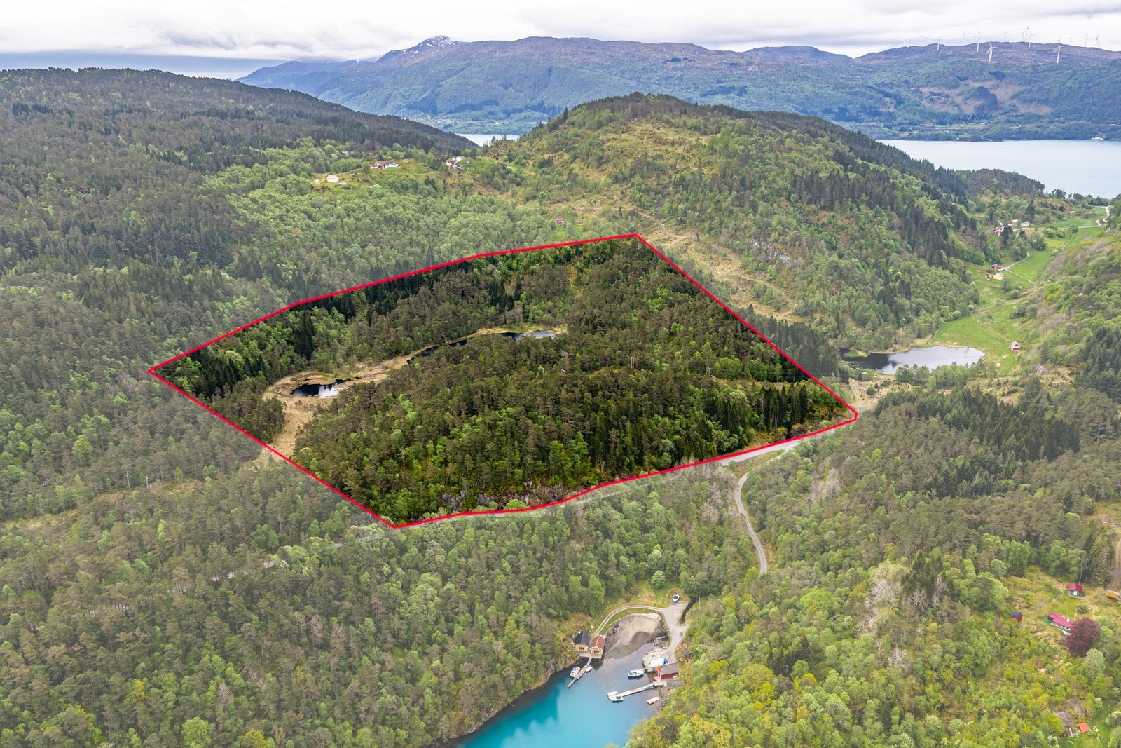 Skogsteig markert, ca anslåtte grenser. Galleribilde