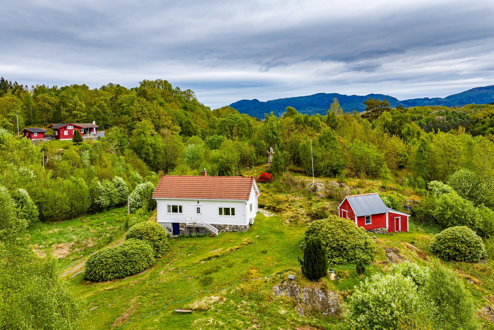 Ligger fint til i lende på en åskam Galleribilde