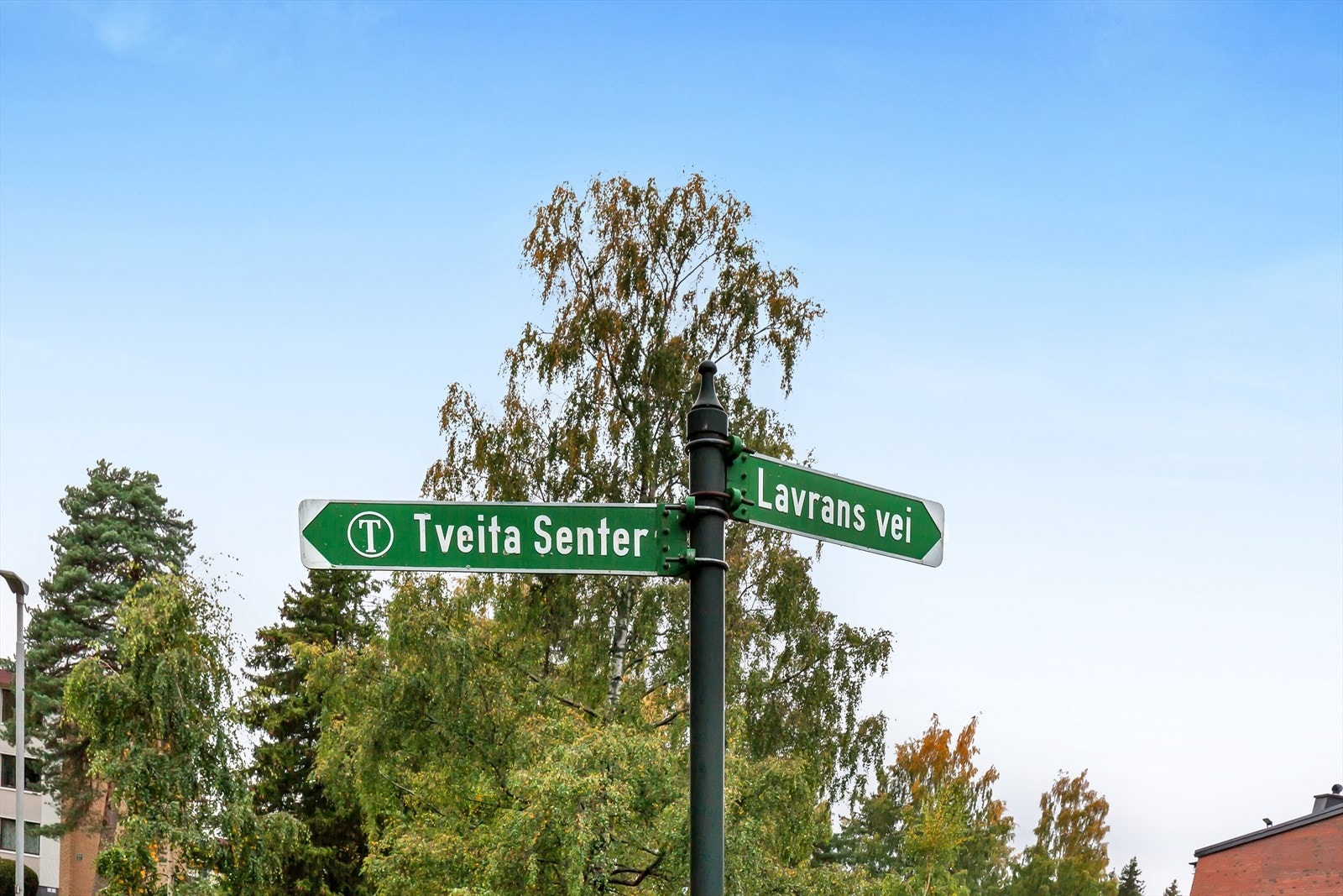Område Galleribilde