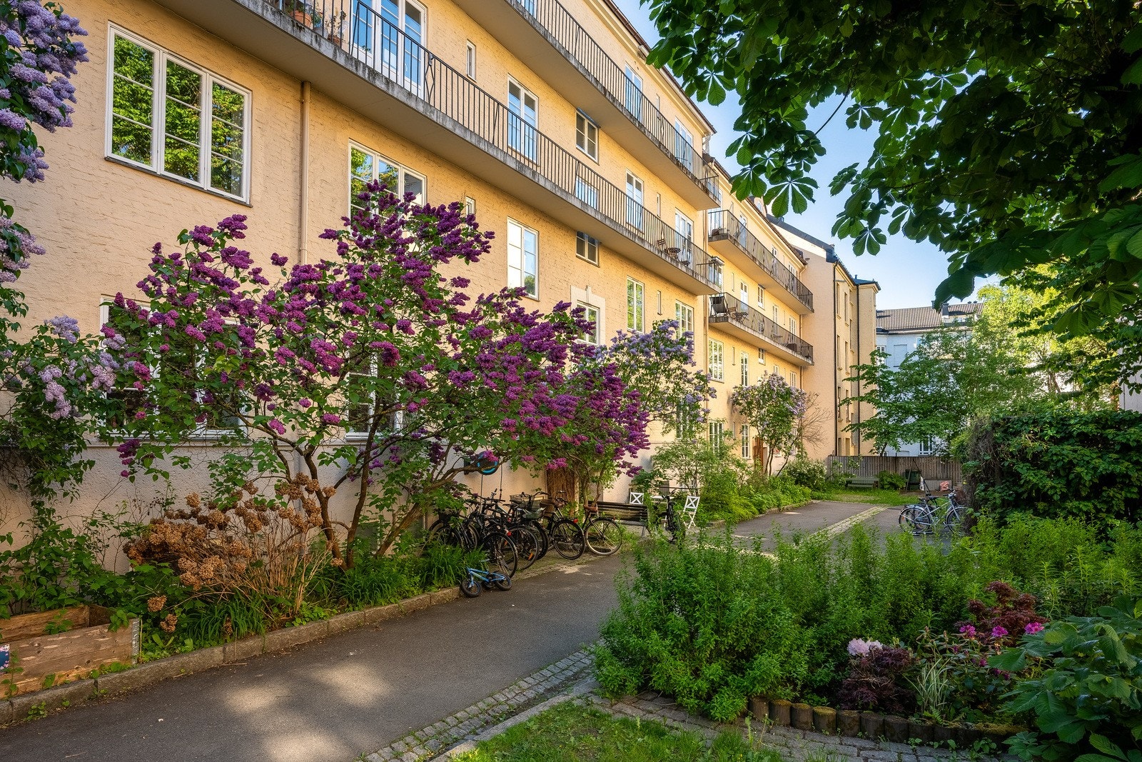 Velkommen til en ærverdig og frodig bygård midt i hjertet av Torshov Galleribilde