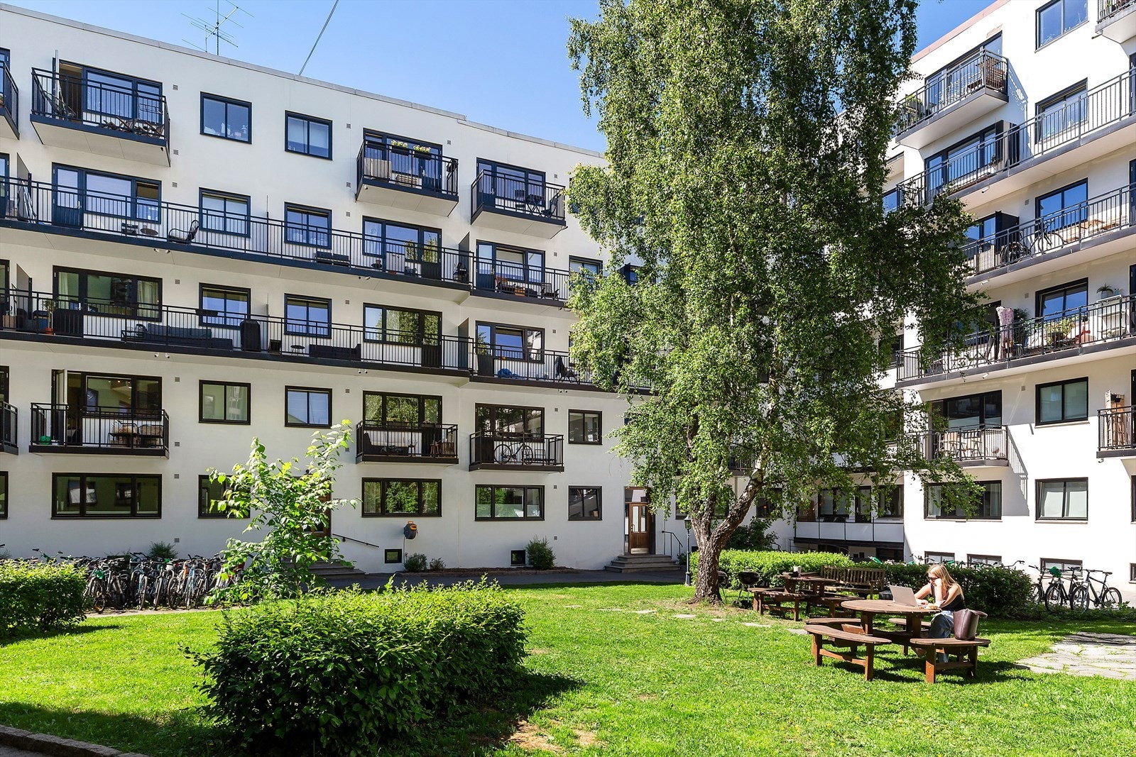 Hyggelig bakgårdsmiljø med grøntarealer, beplantning og sitteplasser Galleribilde