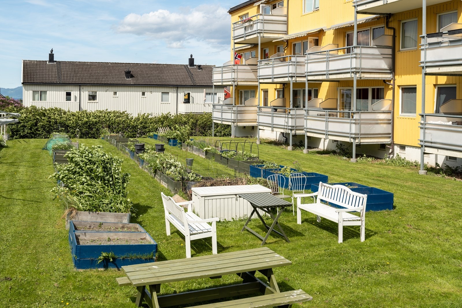 Alle vinduer ble byttet i 2025 i regi av borettslaget. Galleribilde