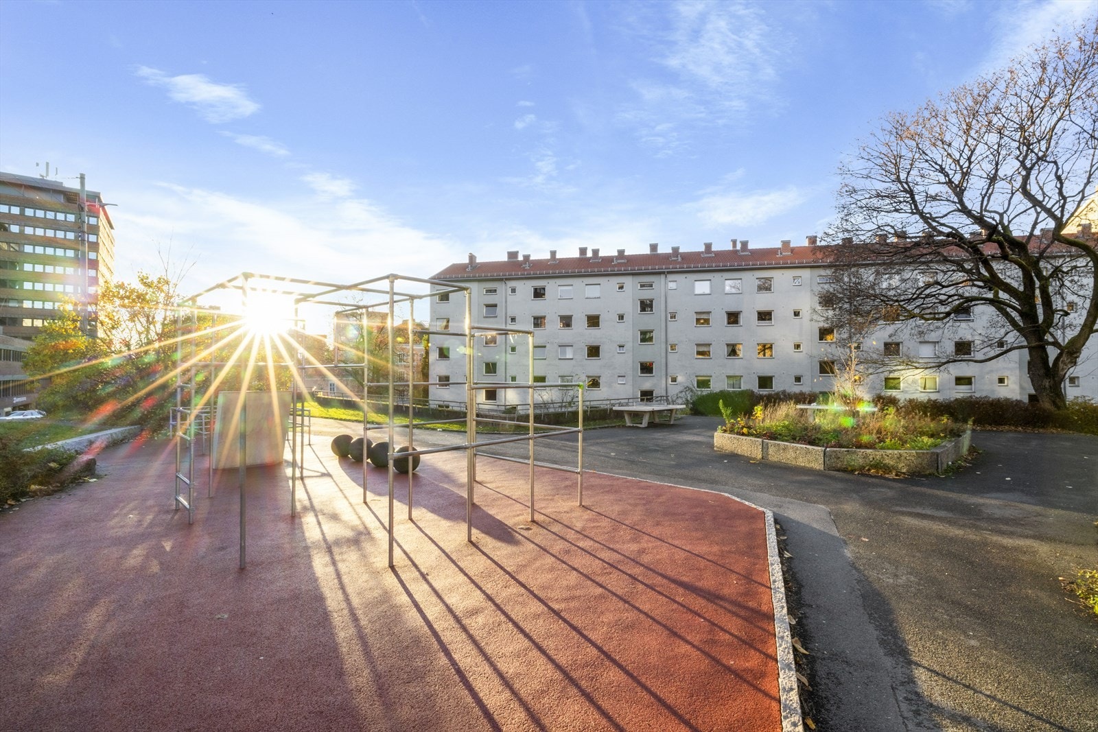 Tøyen ligger i bydel Gamle Oslo, som er et av satsningsområdene i Oslo. Det brukes her store ressurser på kunnskap, kultur og rekreasjon. Galleribilde