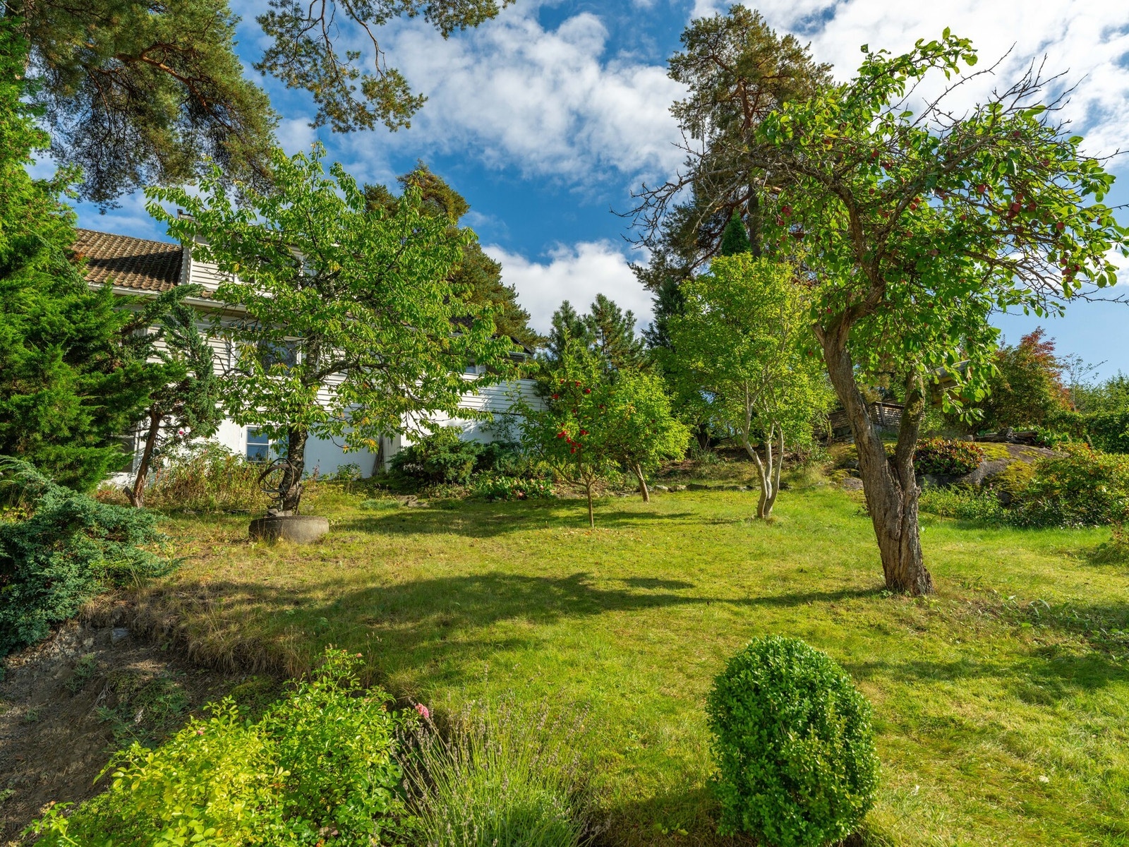 Hagen er skrånende og et eldorado for barn. Galleribilde
