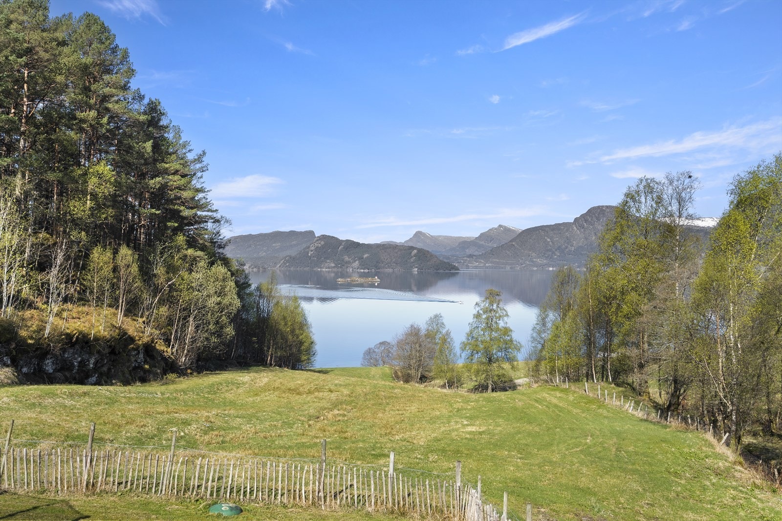 Fantastisk utsikt mot fjorden. Galleribilde