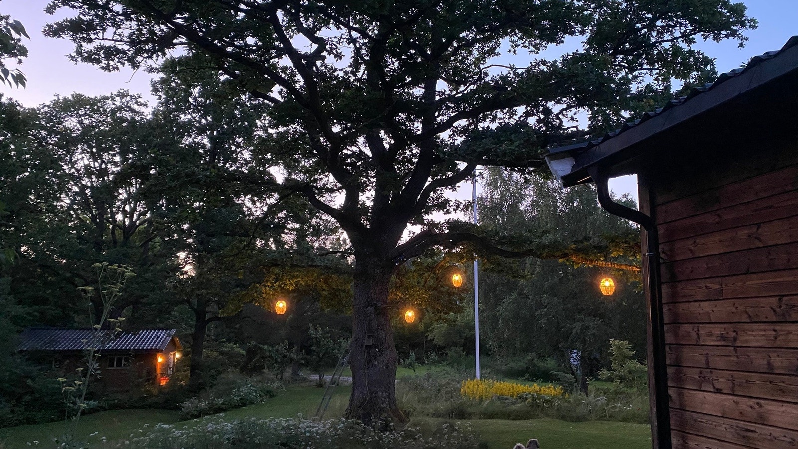Stemningsbilde fra hagen Galleribilde