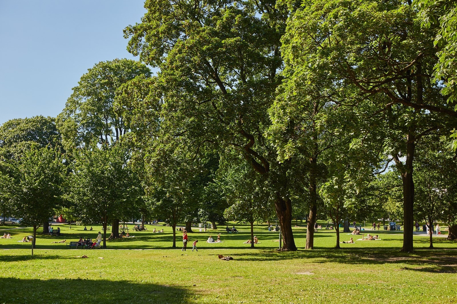 Like ved leiligheten ligger populære Sofienbergparken, et yndet sted for rekreasjon og sosiale samlinger. Galleribilde