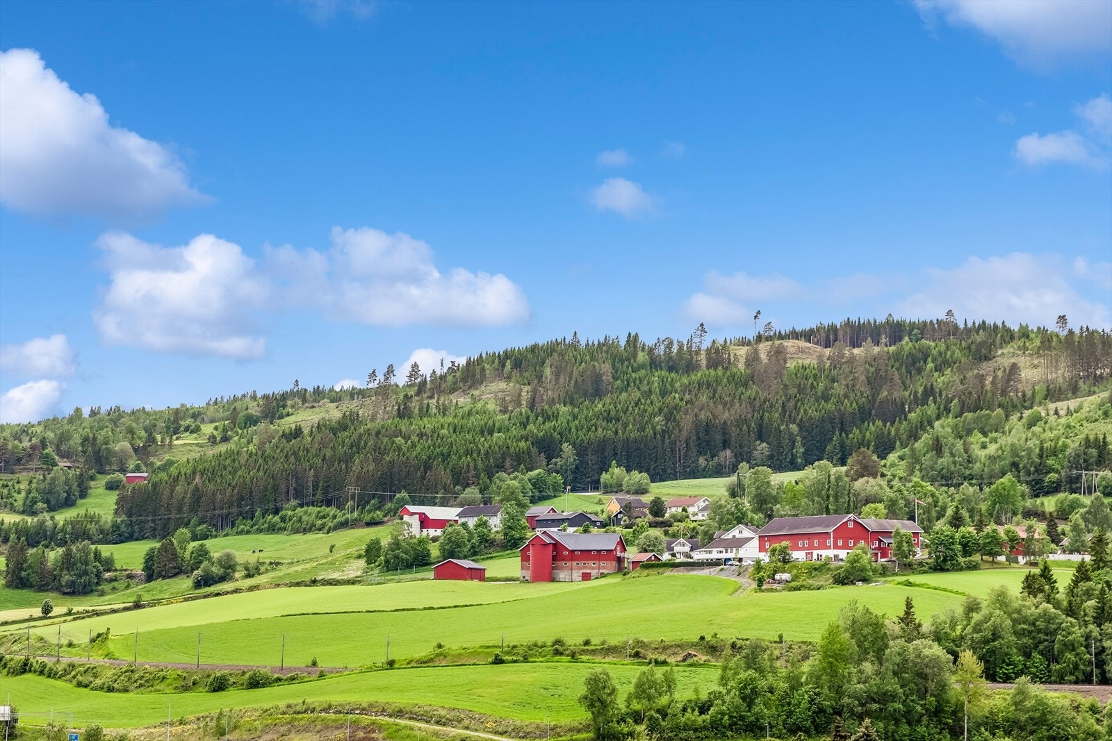 Utsikt fra eiendommen Galleribilde