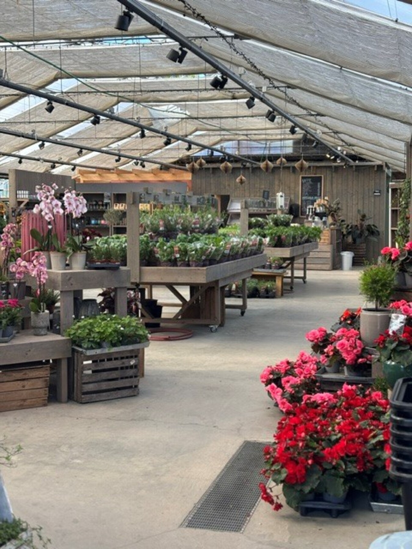 Den sjarmerende gårdsbutikken byr på et rikt utvalg av blomster, interiør, sesongvarer og lokale produkter - et naturlig stoppested i hverdagen for mange på Fjordvang. Galleribilde