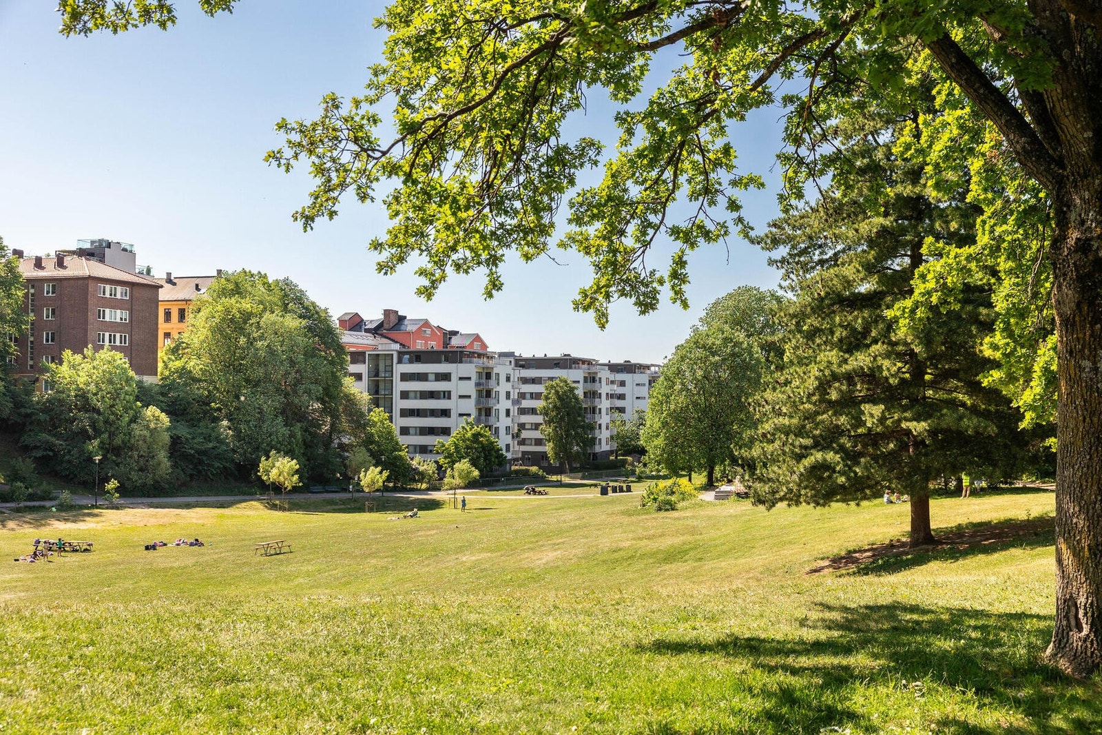 Steinkast unna idylliske Iladalen park, 26 mål. Galleribilde