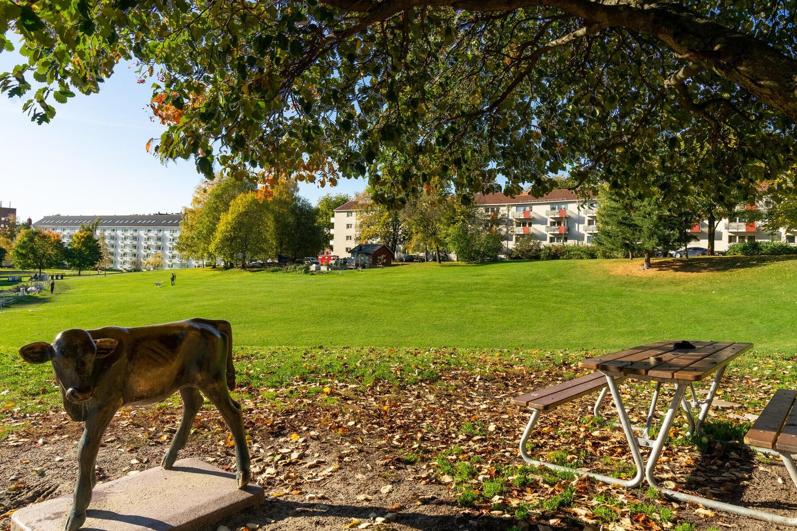 Iladalen park. Galleribilde