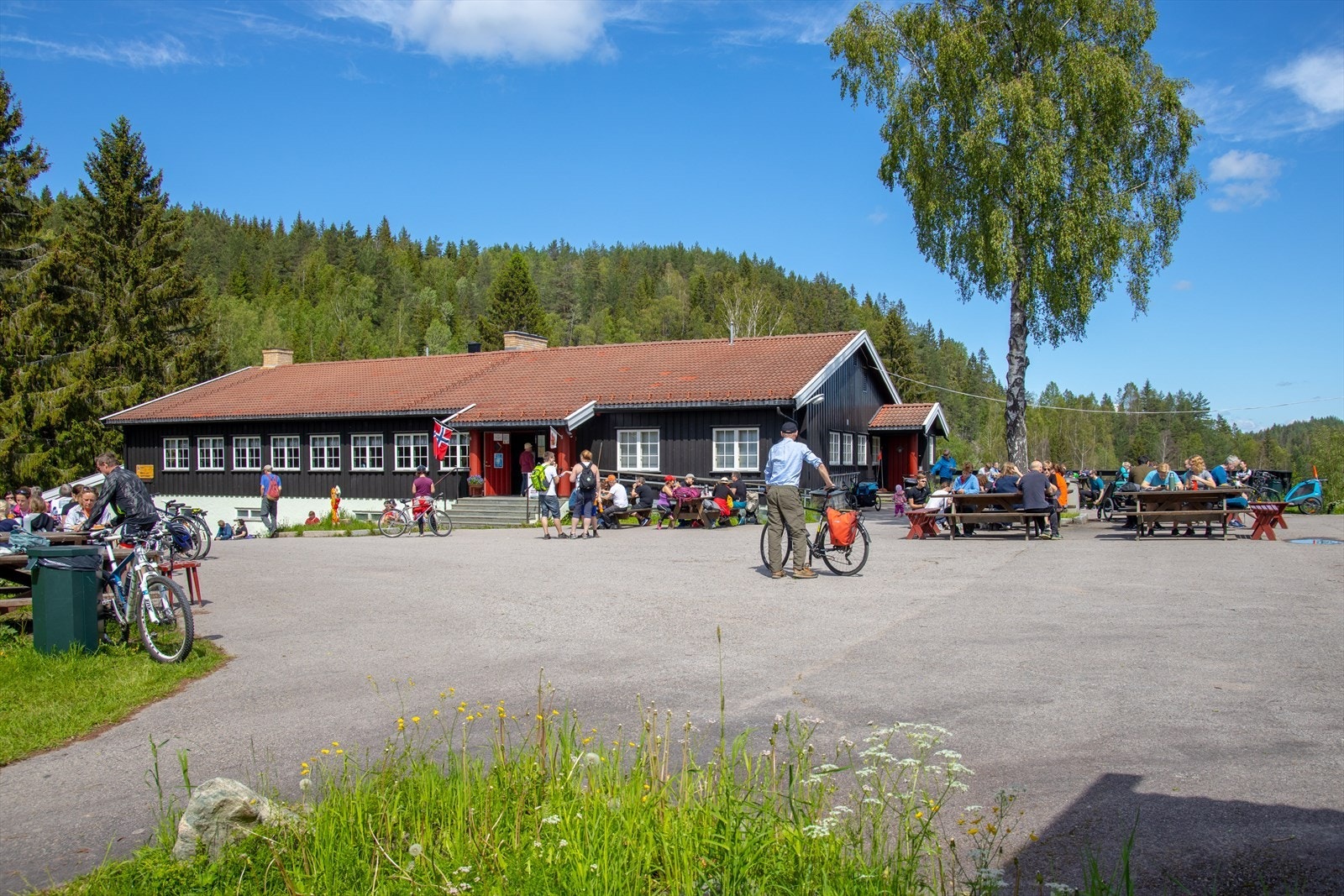 Mariholtet er et yndet turmål for hele familien Galleribilde