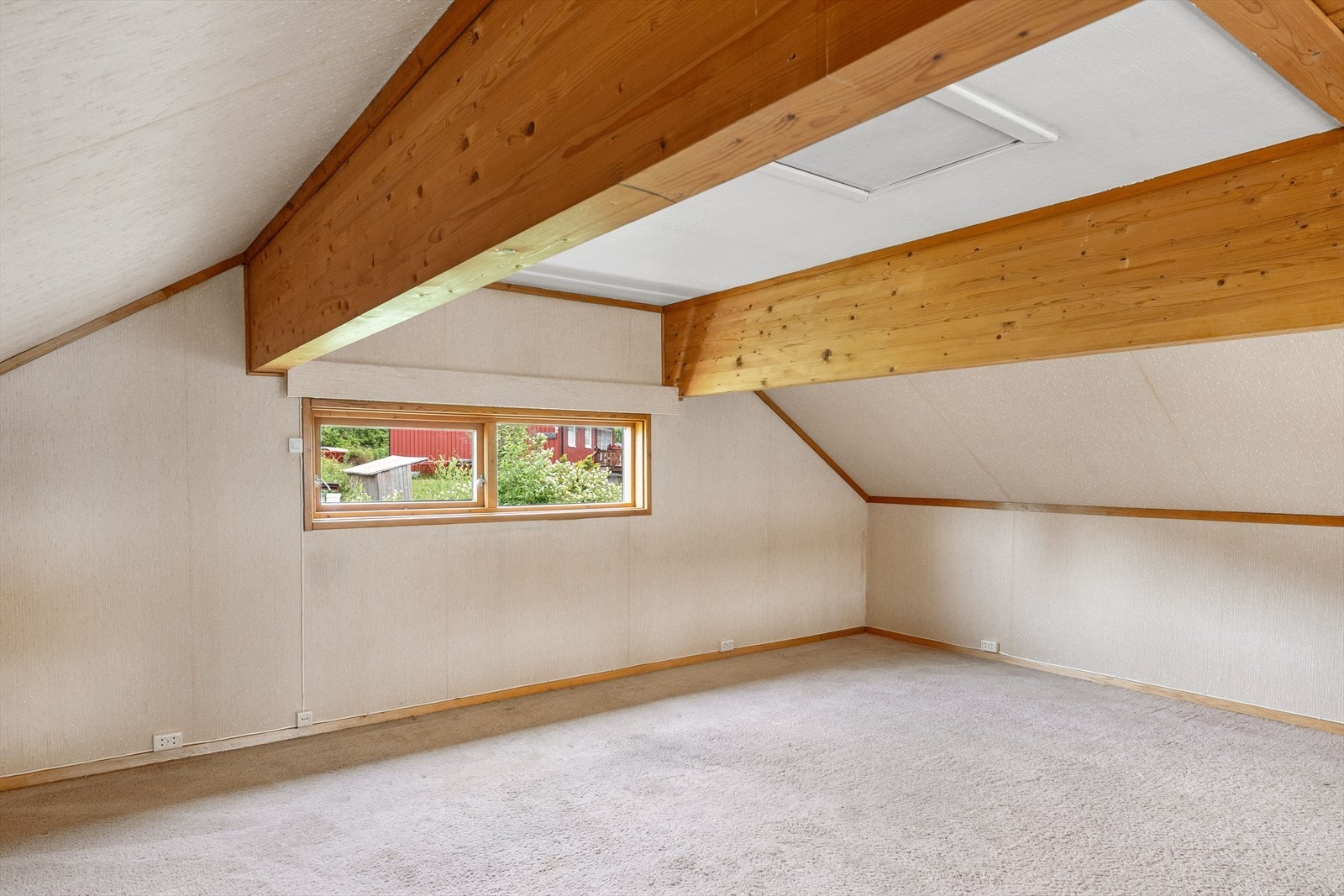 Stor hems med kule muligheter. Galleribilde