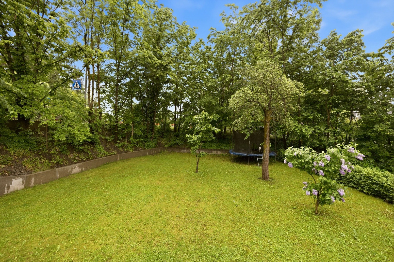 Stort uteområde med plen. Galleribilde