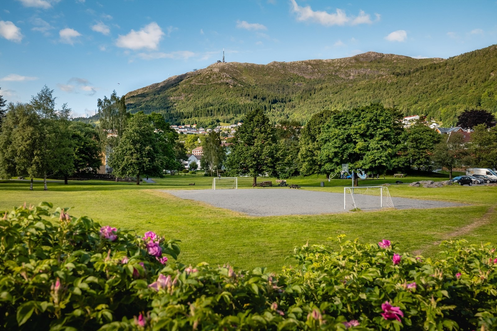 Nærhet til skog og mark med flotte rekreasjonsområder. Galleribilde