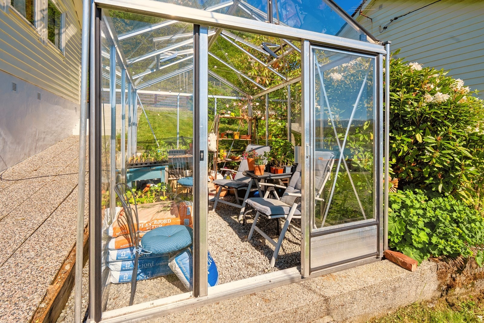 Drivhuset ideelt for hobbygartnere med interesse for grønne planter Galleribilde