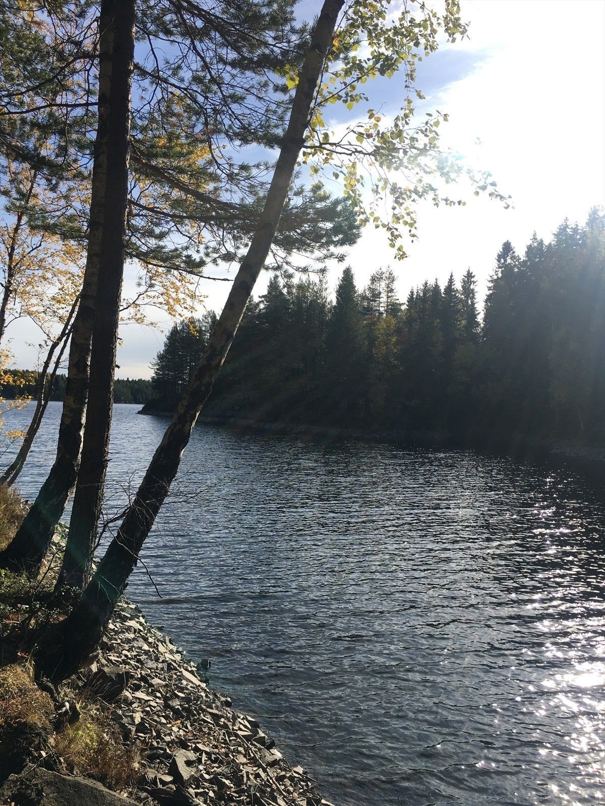 Kort vei til flotte turområder rundt Alunsjøen. Galleribilde