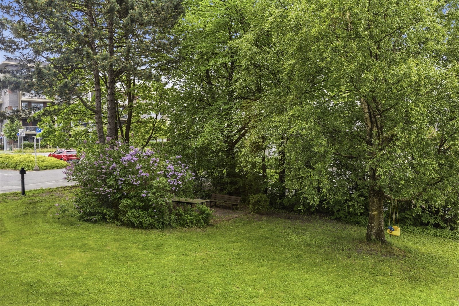 Pent opparbeidet fellesareal med asfalterte internveier, sittegruppe, plen og beplantning. Galleribilde
