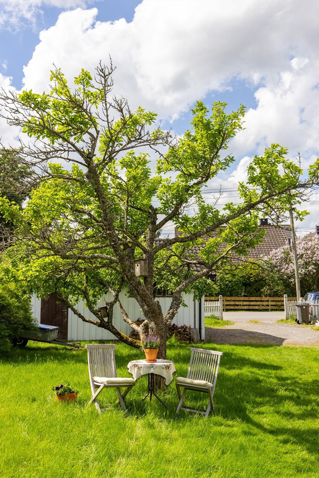 Koselig plass til å sitte under treet og nyte en god bok Galleribilde