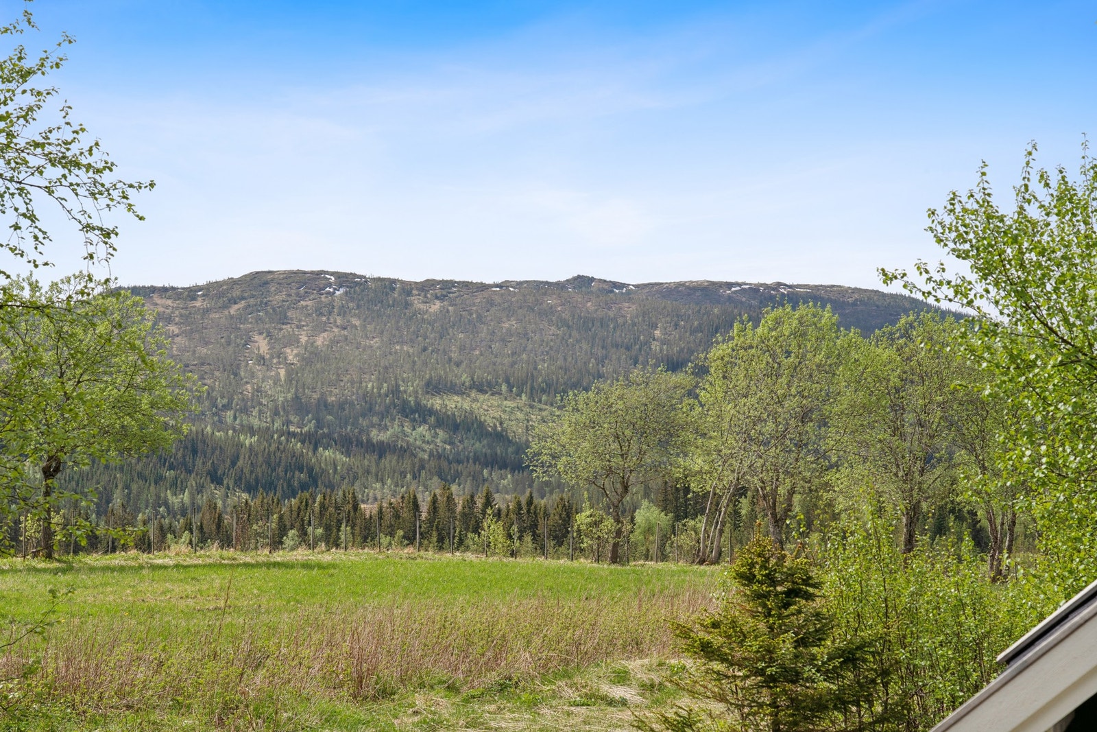 Velkommen til en hyggelig visning! Galleribilde