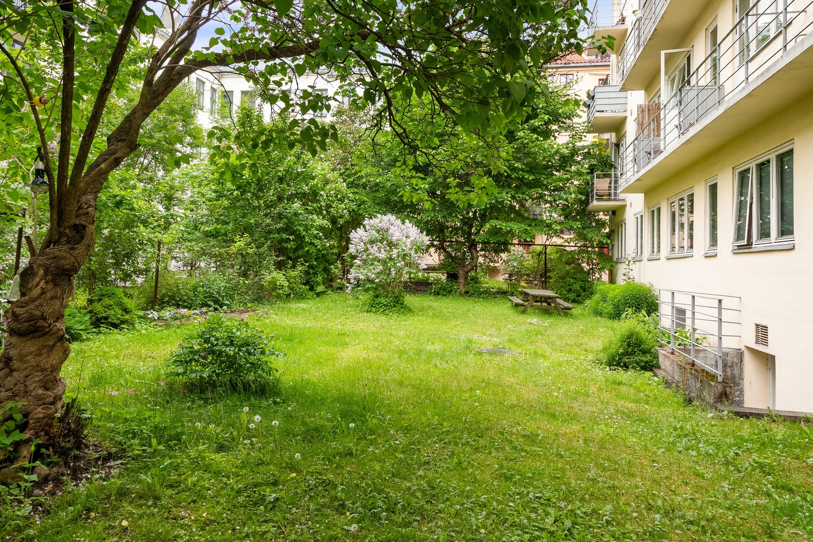 I bakgården er det hyggelig beplantning og sittegrupper Galleribilde
