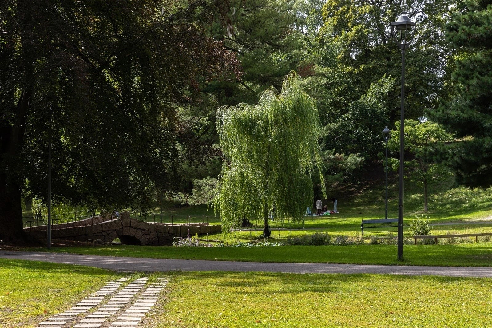 St. Hanshaugen byr på en rekke vakre parker og grønne områder som er ideelle for avslappende turer, hyggelige sosiale sammenkomster eller for de som ønsker å fordype seg i naturen. Galleribilde