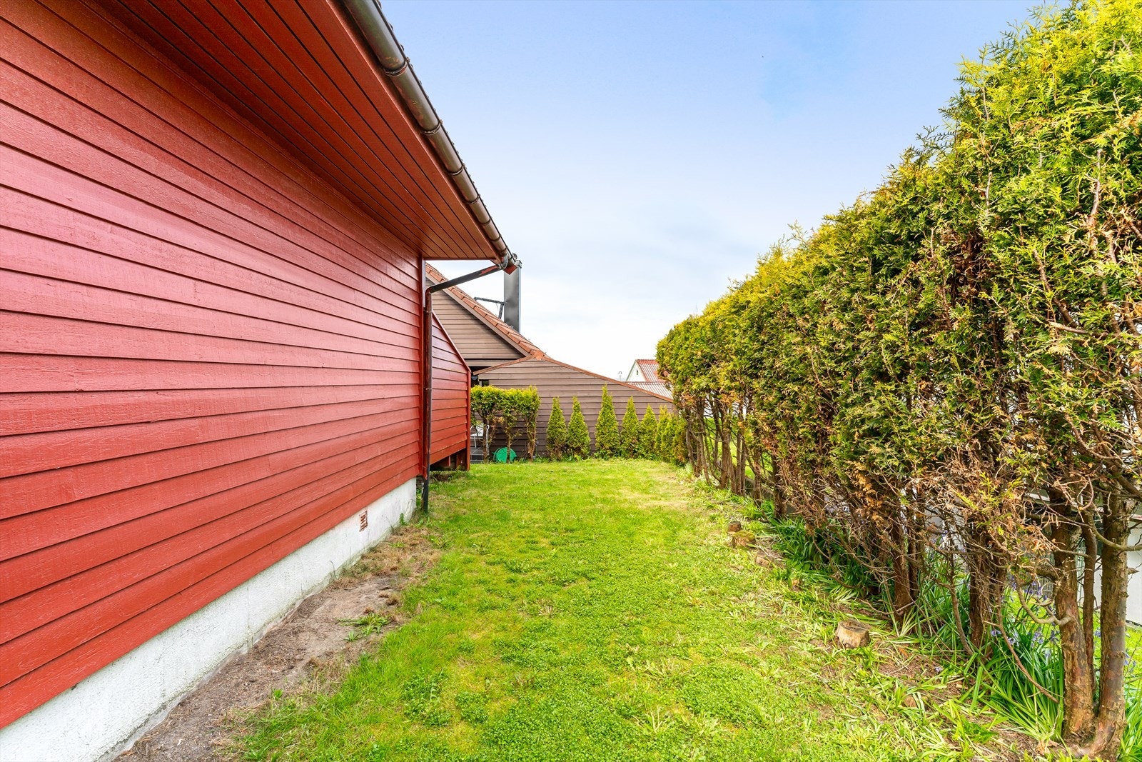 Hagen er opparbeidet med plen og hekk. Galleribilde