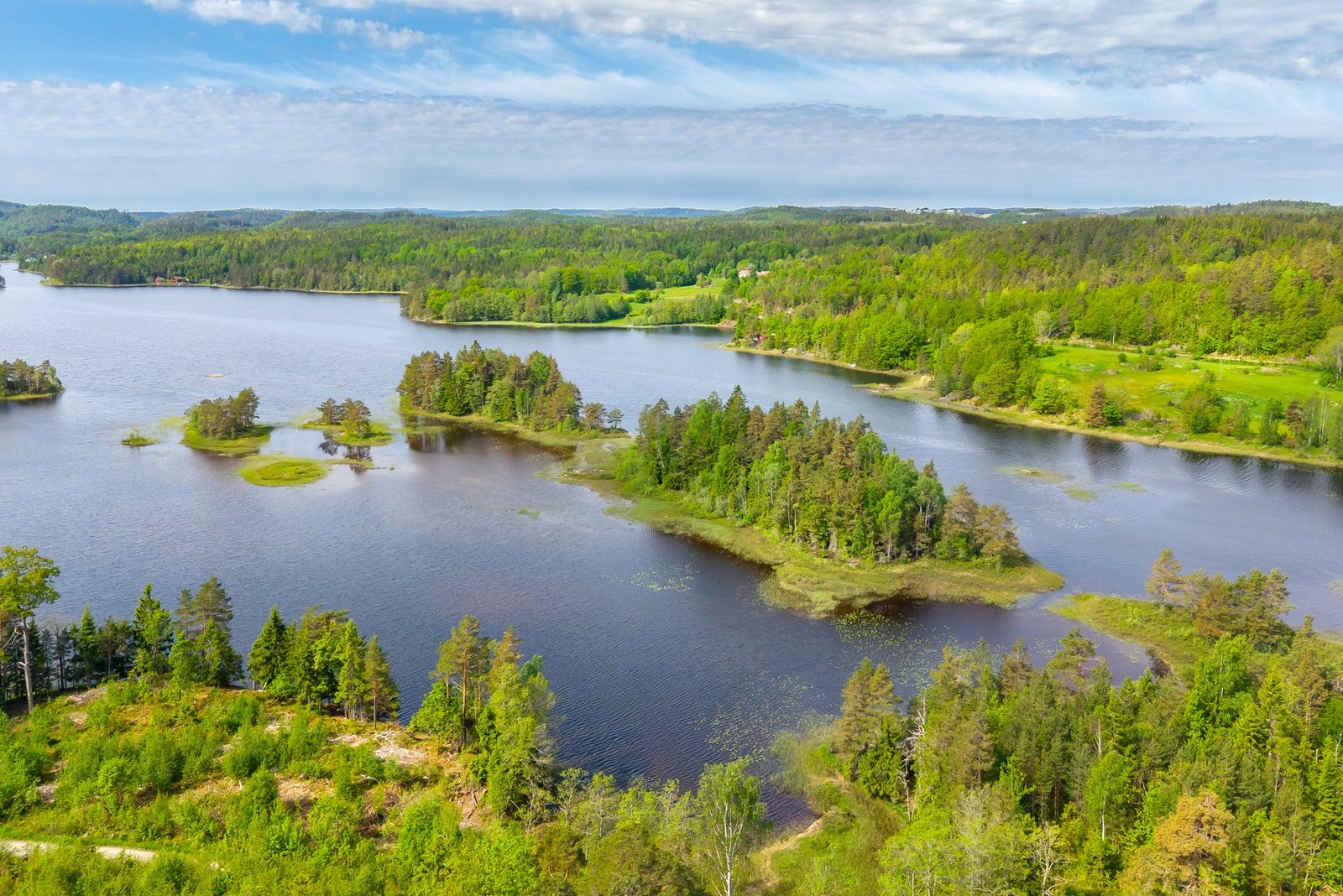 Assævannet byr på meget gode fiskemuligheter av abbor, ørret, suter, sik og ål like utenfor din egen fritidsbolig. Galleribilde