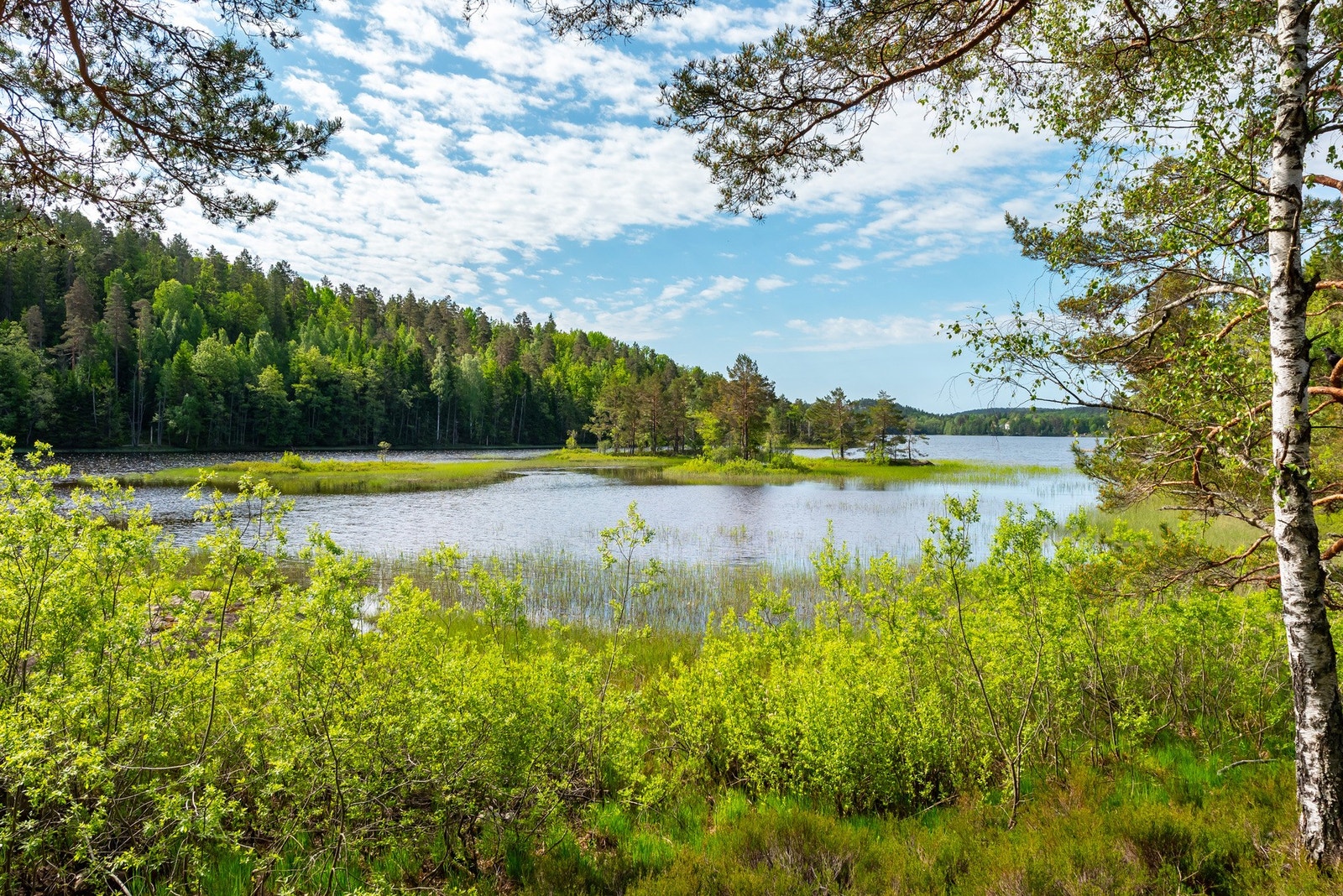 Naturskjønn utsikt fra verandaen. Galleribilde