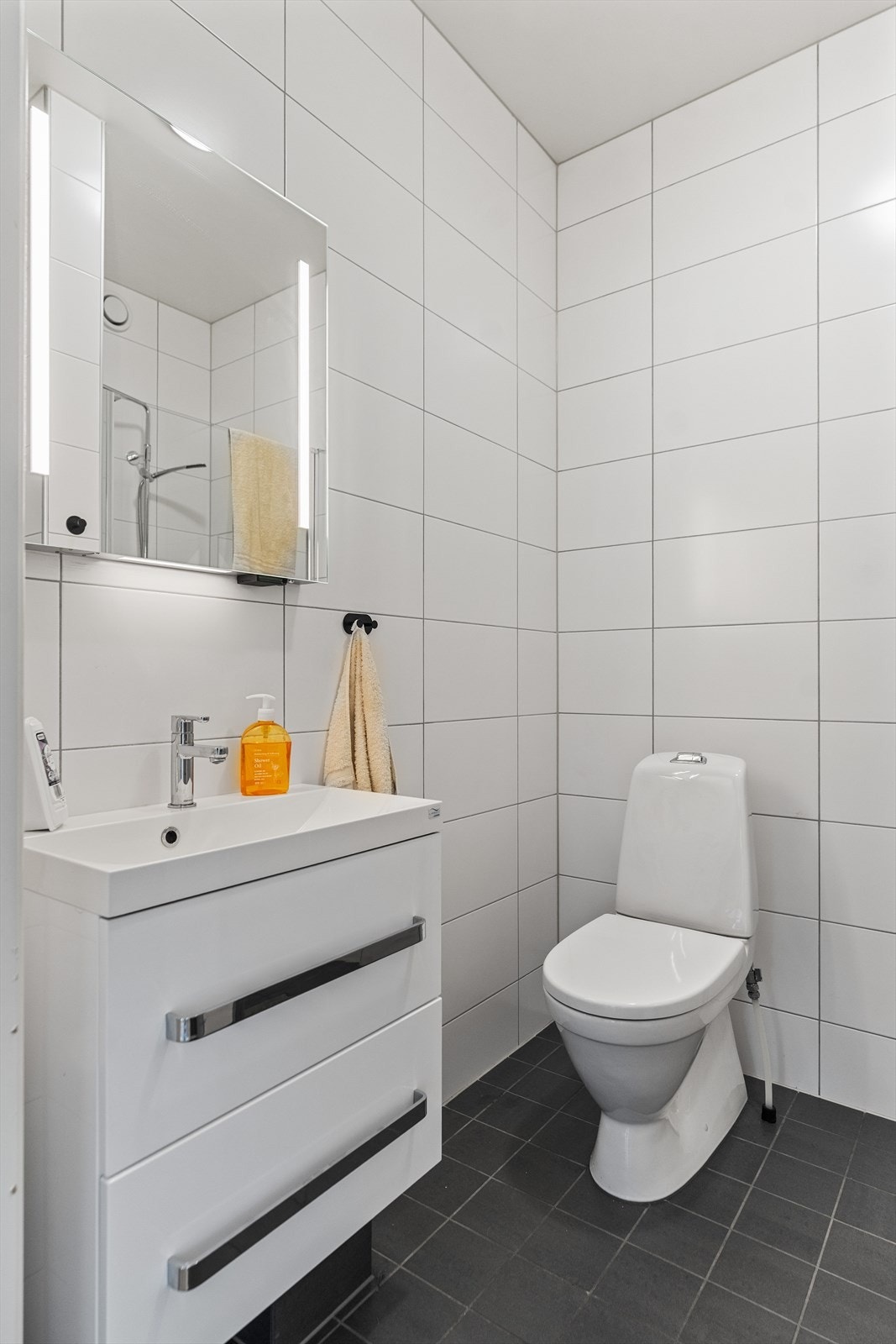 Badet i utleiedelen er flislagt og har dusj, frittstående toalett og opplegg for vaskemaskin. Galleribilde