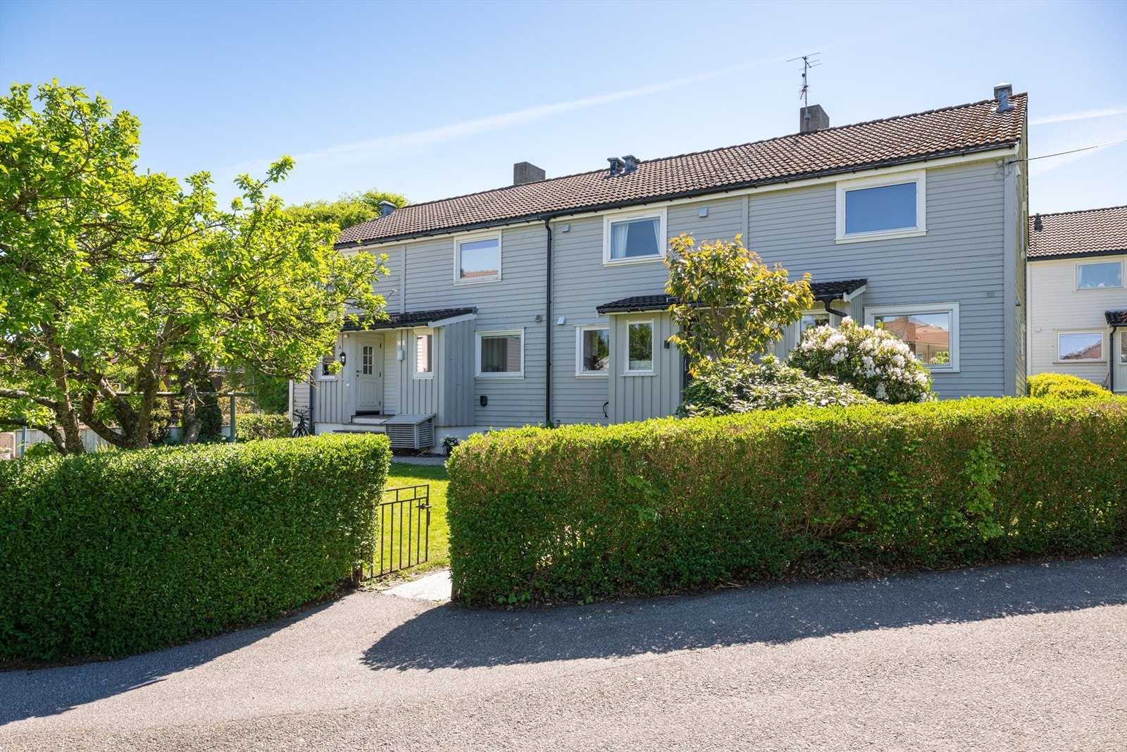 Fasade. Galleribilde