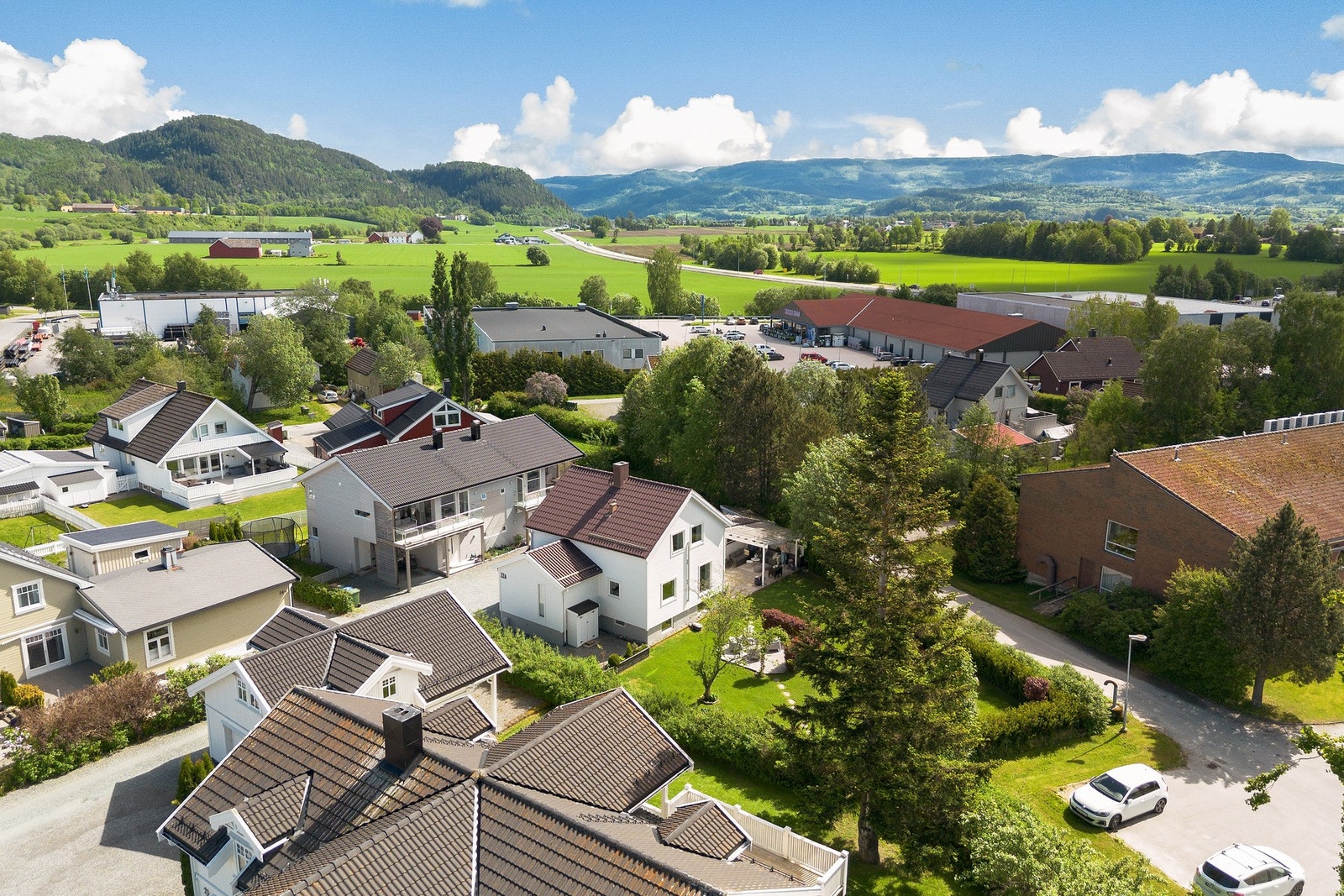 Velkommen til en trivelig visning! Galleribilde