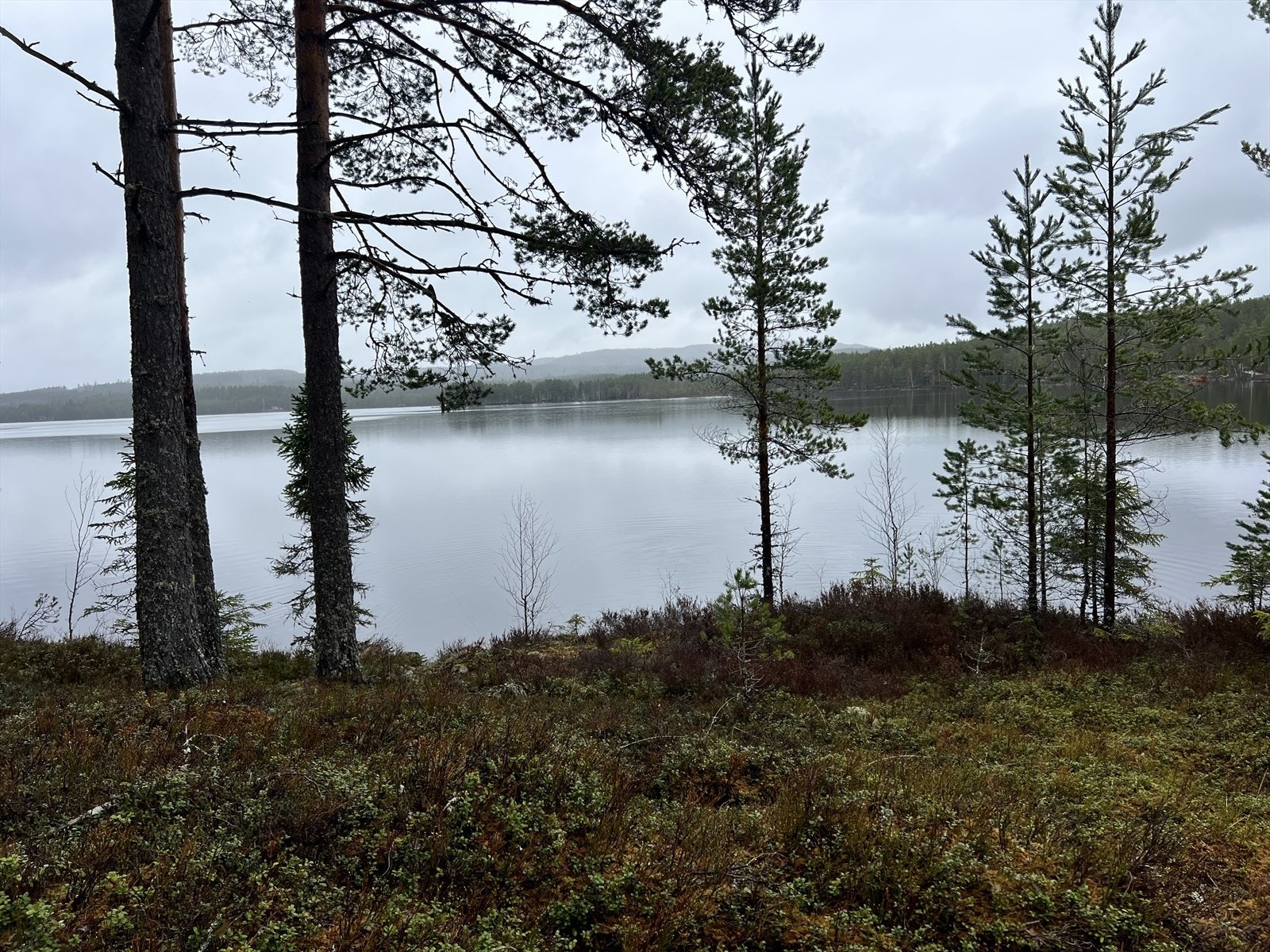 Tomten har nærhet til vann med muligheter for bading og fiske. Galleribilde