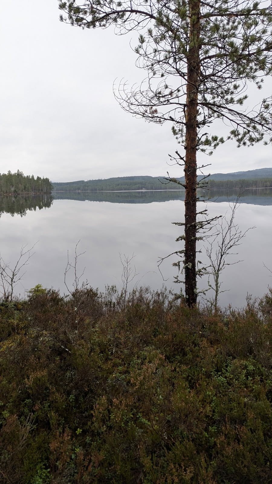 En gråværsdag. Galleribilde