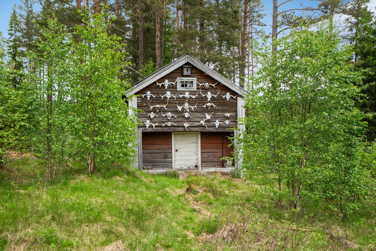 Det tradisjonsrike stabburet gir eiendommen særpreg. Galleribilde