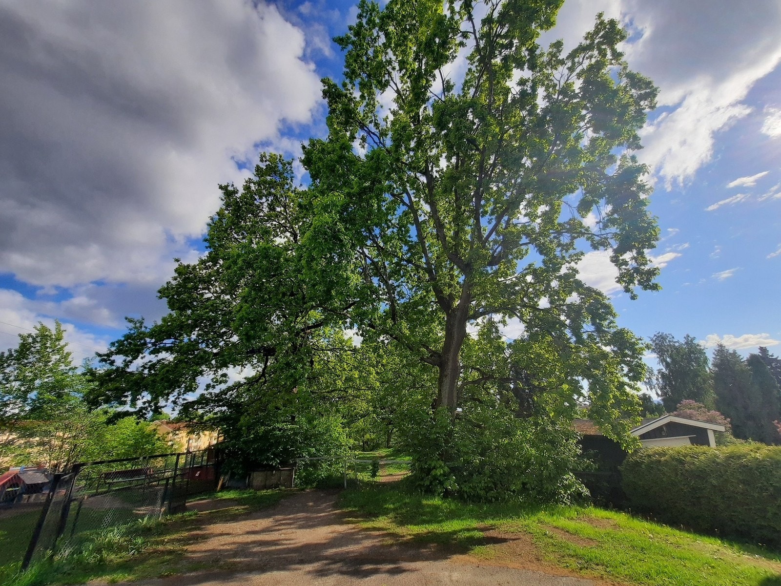 Område Galleribilde