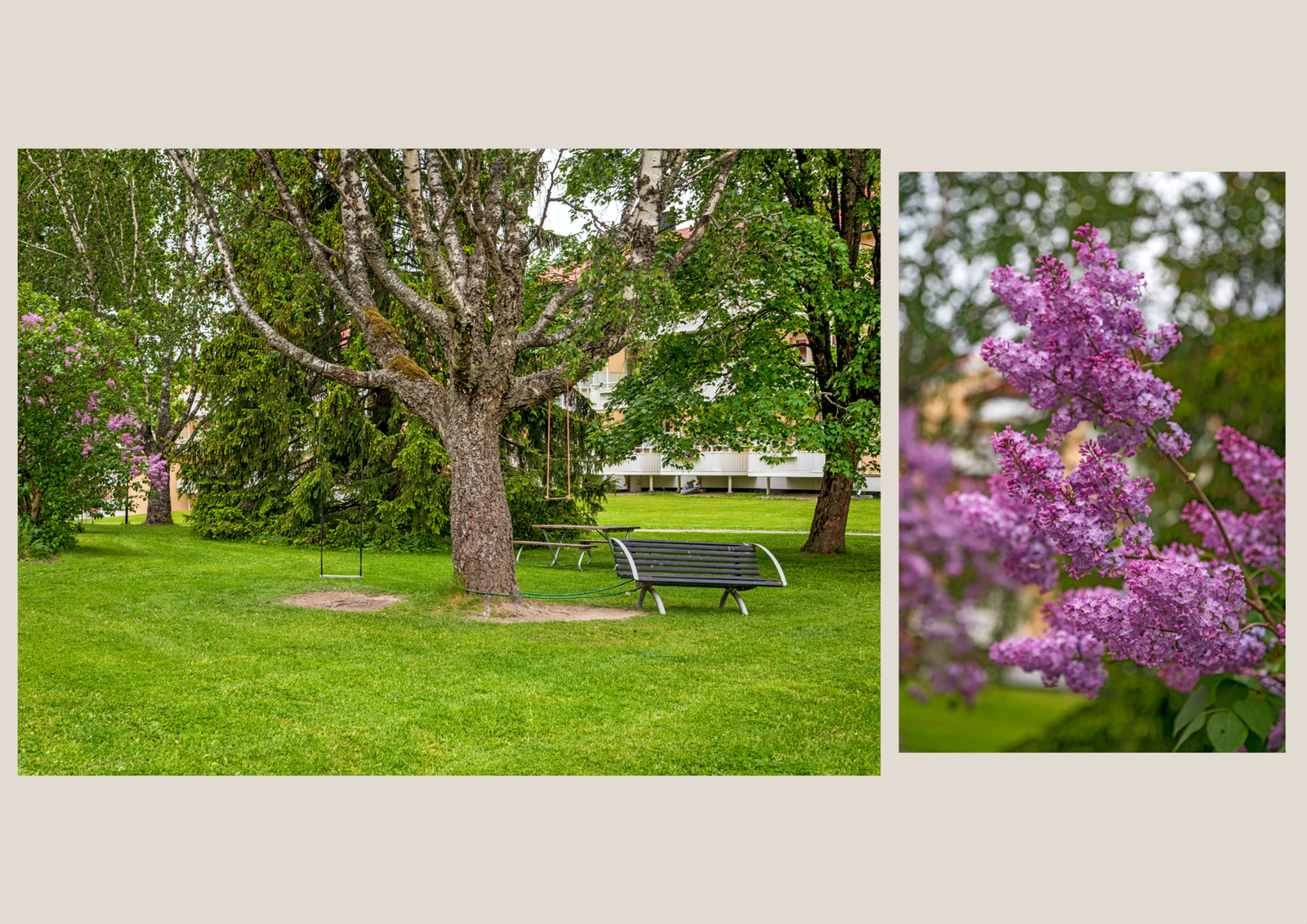 Borettslaget har vakre grøntområder med herlige syriner og lekeapparater for de små. Galleribilde