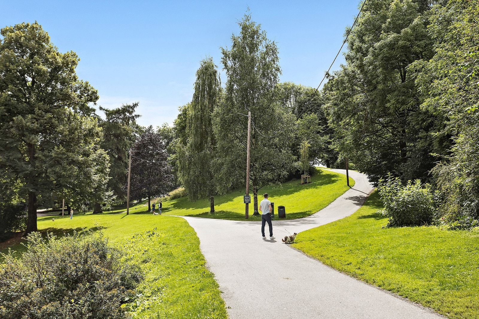 Stensparken ligger rett ved. Galleribilde