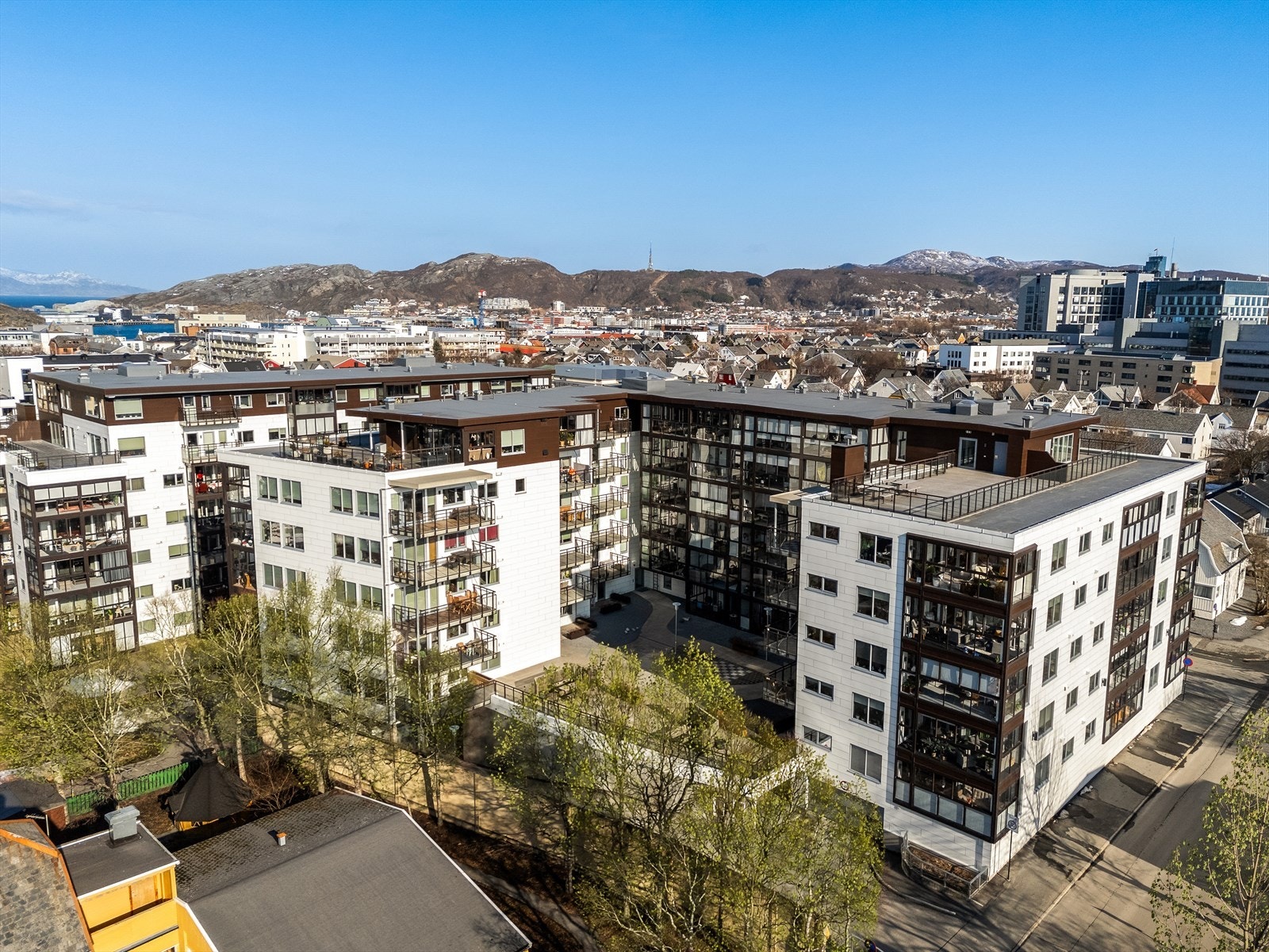 Velkommen på visning! Galleribilde
