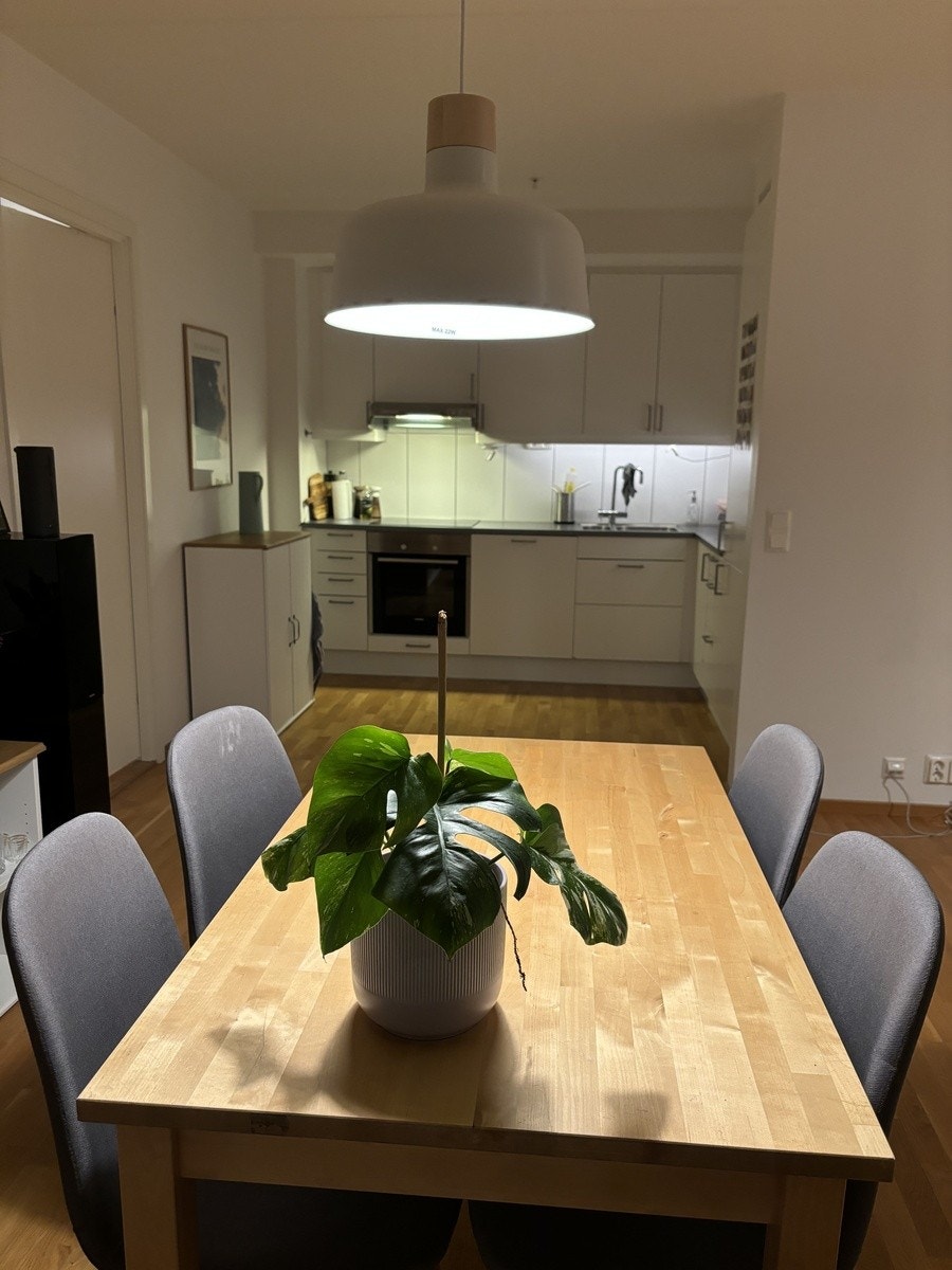 Spiseplass med Kjøkken Galleribilde