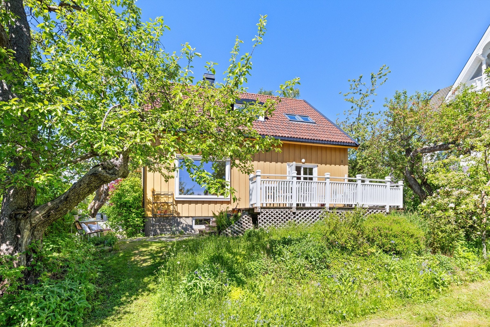 Hage Galleribilde