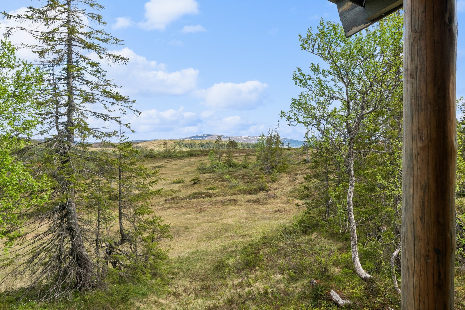 Fra hytta har man god utsikt og gode solforhold. Galleribilde