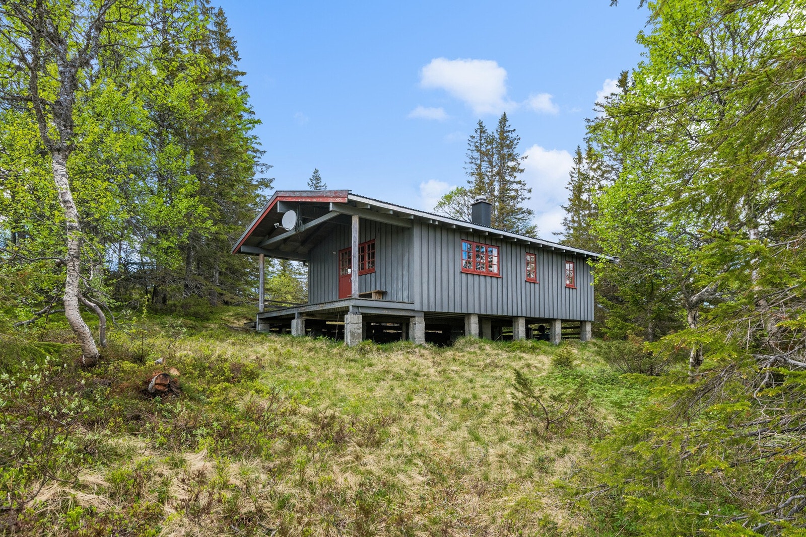 Velkommen til en hyggelig visning! Galleribilde