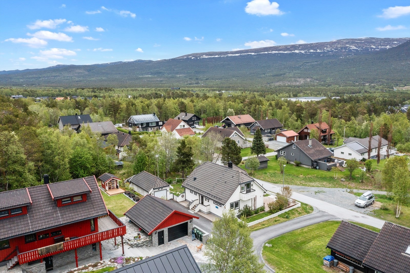 Dronefoto Galleribilde